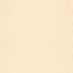 Silk crepe: ecru