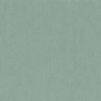 Wool flannel: mint