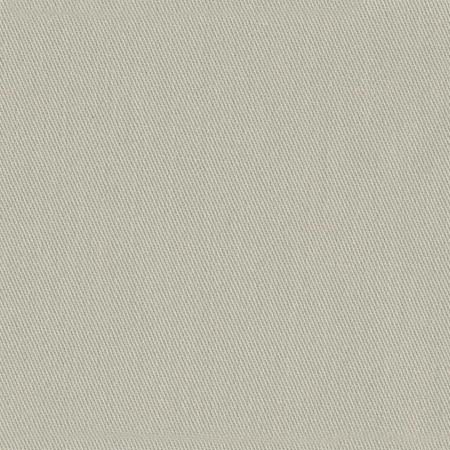 Cotton Lightweight: beige twill