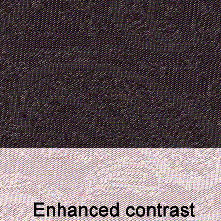 Linings: Concerto paisley in espresso