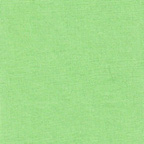 Rayon knits: Micromodal stretch knit in mint